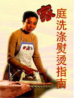 [s778]家庭洗涤熨烫指南(pdf电子书)